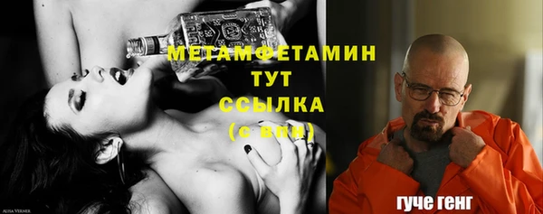 амф Гусев