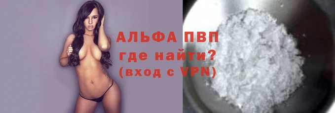 амф Гусев