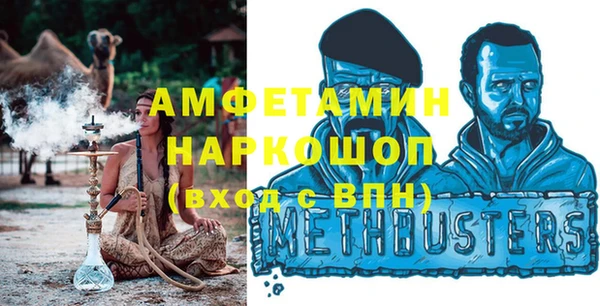соль ск Дмитриев