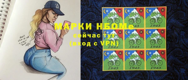 амф Гусев