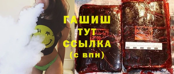 амф Гусев
