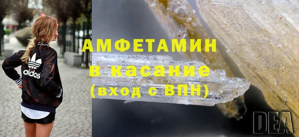 амф Гусев