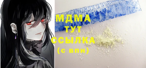 амф Гусев
