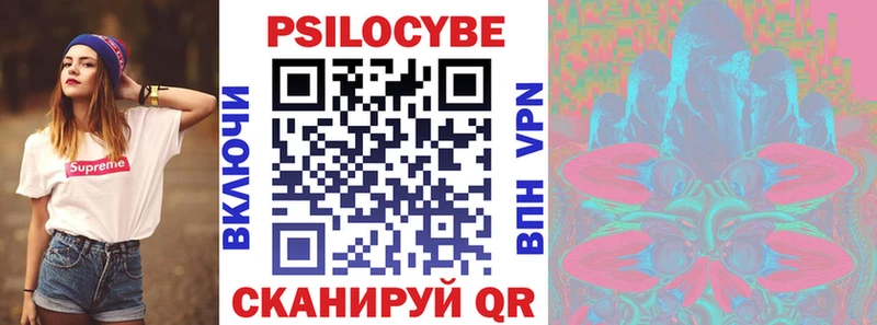 OMG зеркало  Гатчина  Псилоцибиновые грибы GOLDEN TEACHER 