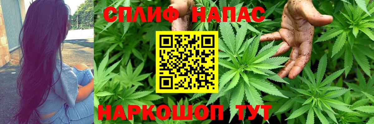 Конопля SATIVA & INDICA Гатчина